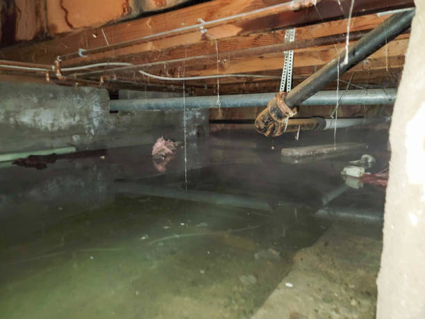 Best Water damage restoration specialists  in Brice Prairie, WI