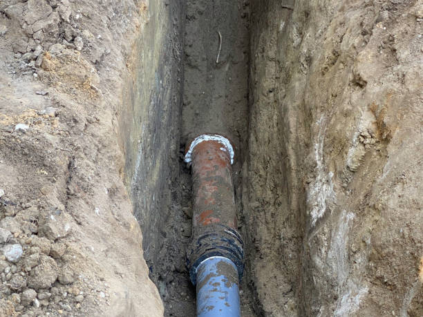 Best Basement water damage restoration  in Brice Prairie, WI