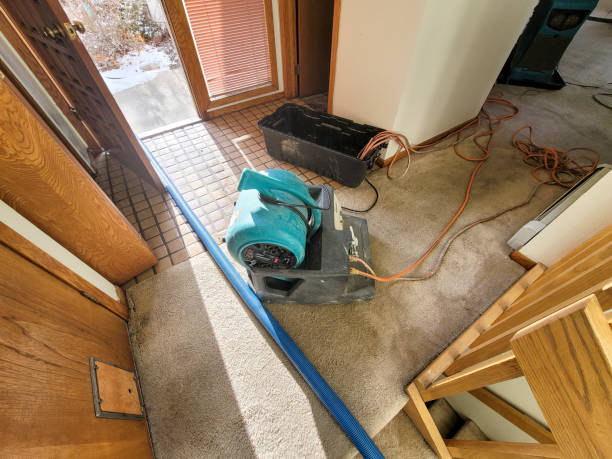 Best Ceiling water damage repair  in Brice Prairie, WI