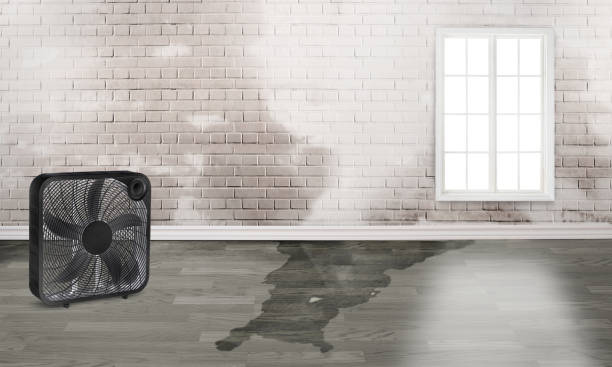 Best Water damage restoration near me  in Brice Prairie, WI